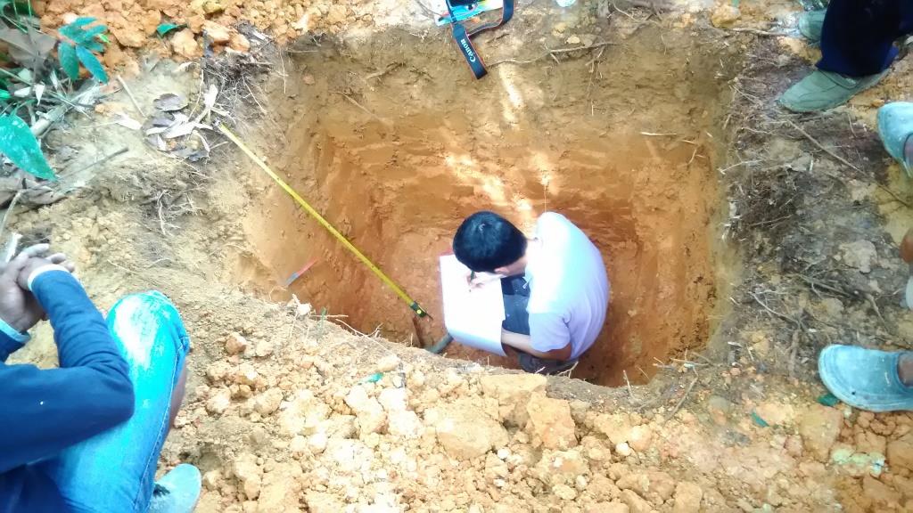 Pakar Ilmu Tanah Puslitkoka Jember sedang meneliti lapisan-lapisan tanah.
