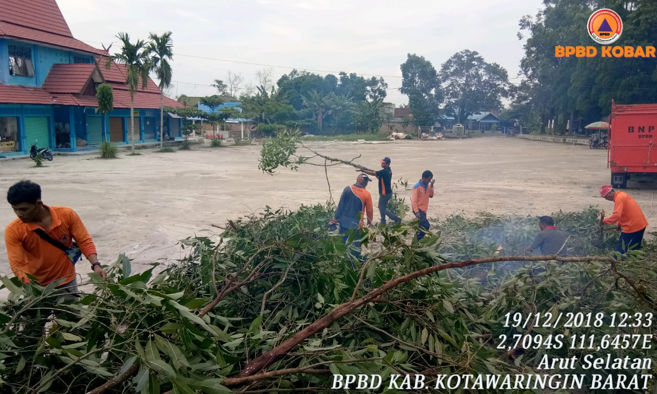 Penebangan pohon di area Pasar Palagan, Pangkalan Bun.